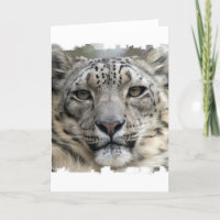 Carte de voeux Snow Leopard