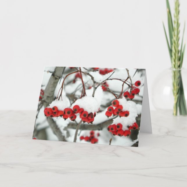 Carte de voeux Snowberries (Devant)