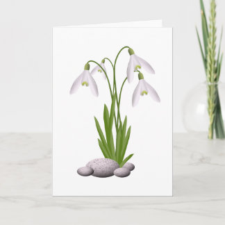 Carte de voeux Snowdrops
