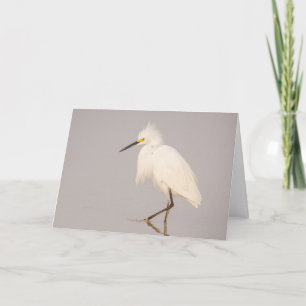 Carte de voeux Snowy Egret Walking