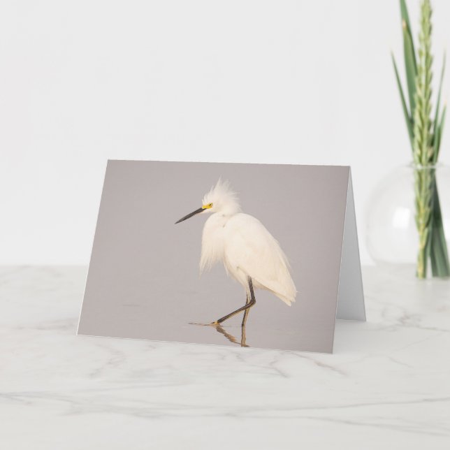 Carte de voeux Snowy Egret Walking (Devant)