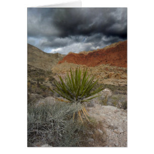 Carte de voeux Southwest Blank All Occasion