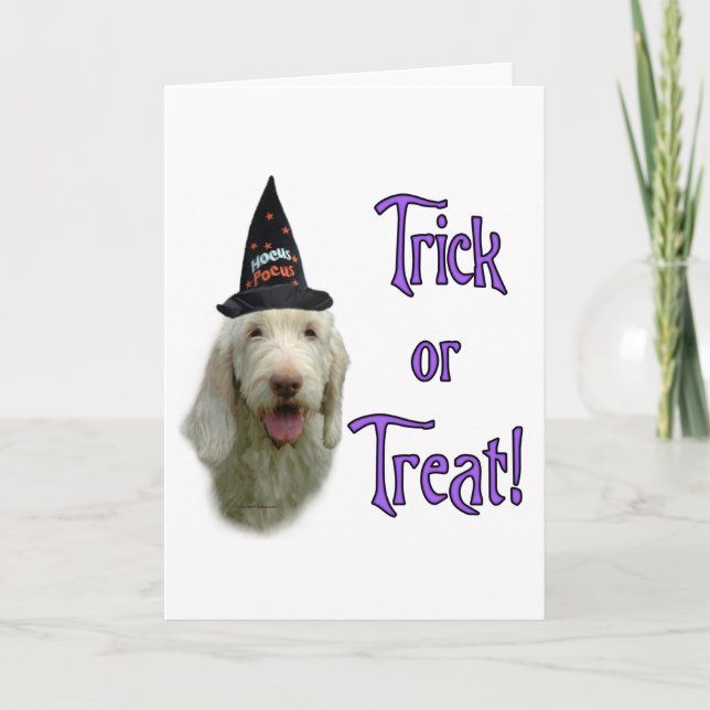 Carte de voeux Spinone Trick (Devant)