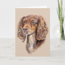 Carte de vœux Springer Sprocker Cocker Spaniel