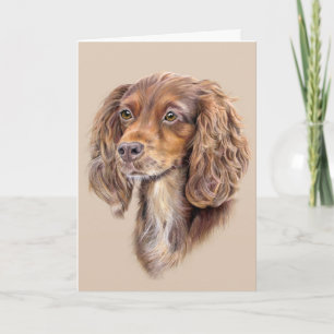 Carte de vœux Springer Sprocker Cocker Spaniel