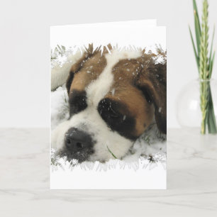 Carte de voeux St Bernard Dog