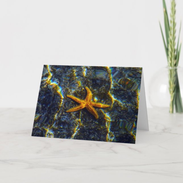 Carte de voeux Starfish (Devant)