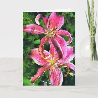 Carte de voeux Stargazer Lys