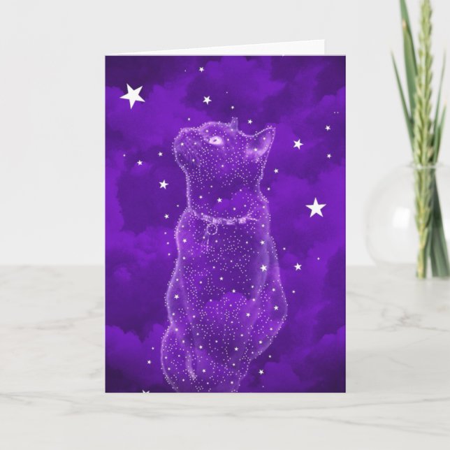 Carte de voeux Stargazing Cat (Devant)