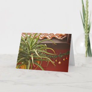 Carte de voeux succulente de jardin : Aloedays