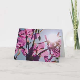 Carte de voeux Sunlight Through Flowers