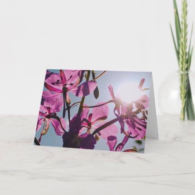 Carte de voeux Sunlight Through Flowers (Devant)