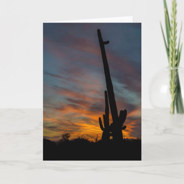 Carte de voeux Sunset Arizona Saguaros Friends (Devant)
