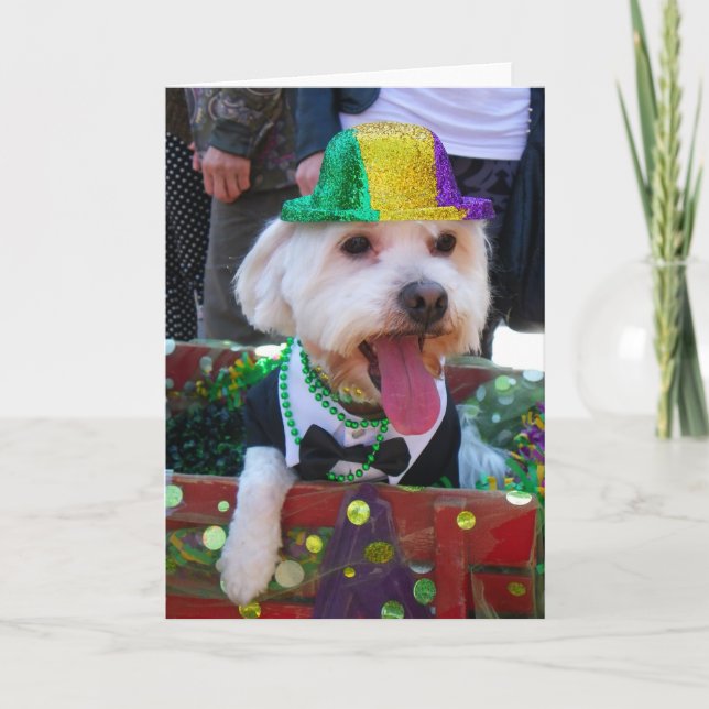 Carte de voeux super mignonne ! (Devant)