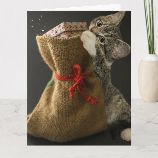 Carte de vœux surprise de Noël avec un chat mignon (Devant)