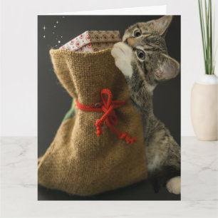 Carte de vœux surprise de Noël avec un chat mignon