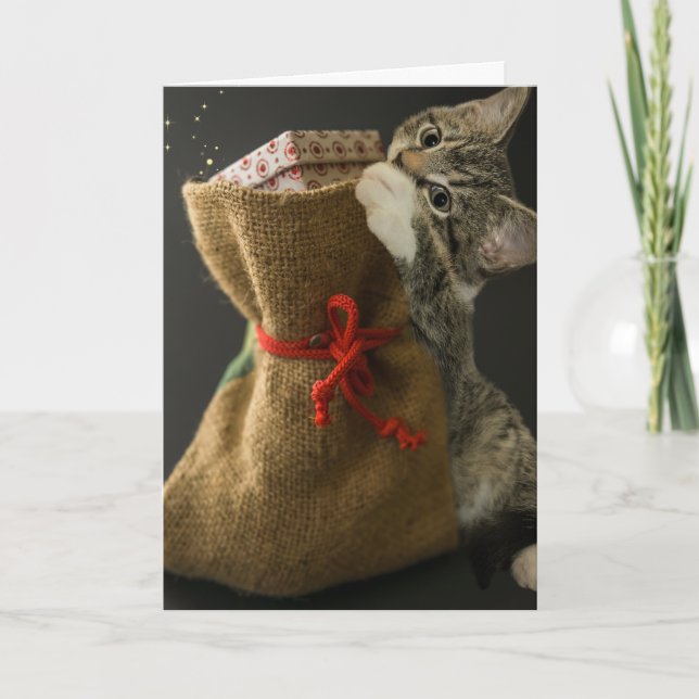 Carte de vœux surprise de Noël avec un chat mignon (Devant)