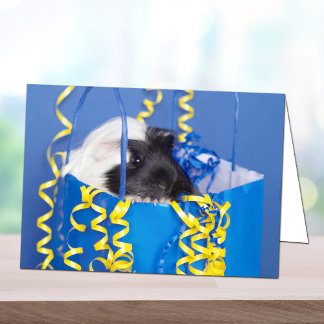 Carte de voeux Surprise Guinée Pig