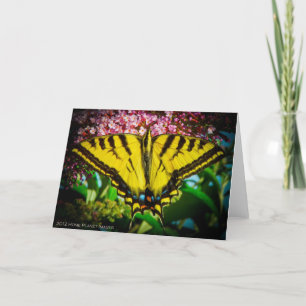Carte de voeux Swallowtail Butterfly