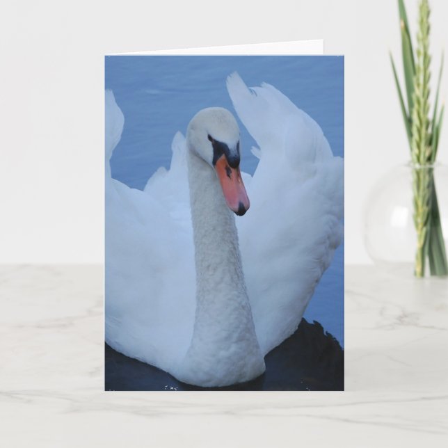 Carte de voeux Swan (Devant)