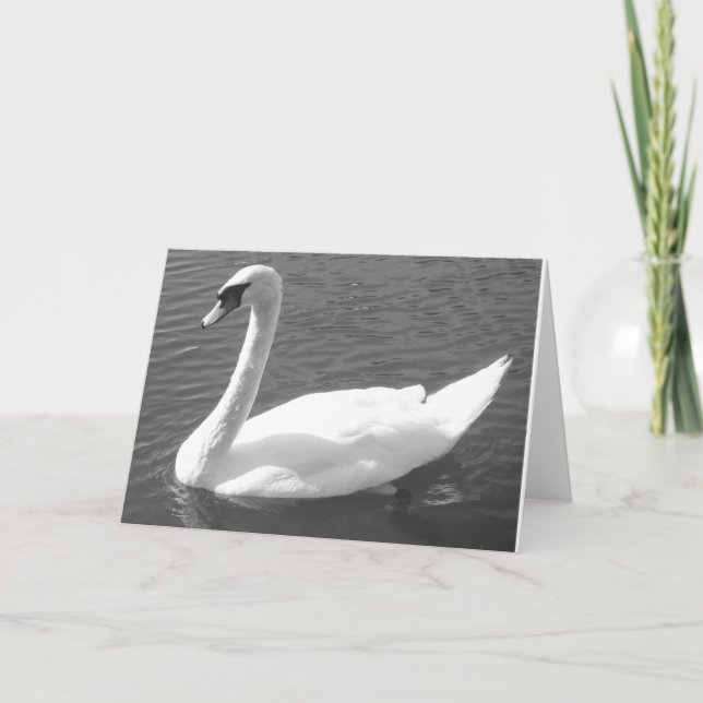Carte de voeux - Swan en noir et blanc (Devant)