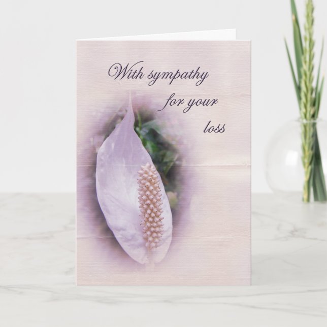 Carte de voeux Sympathy - Anthurium blanc (Devant)