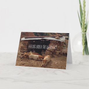 Carte de voeux Sympathy Pig