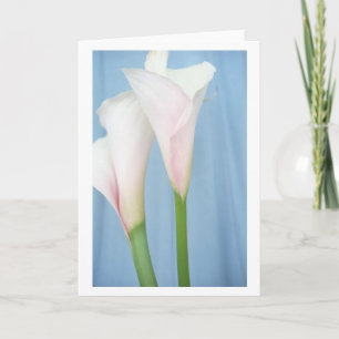 Carte de voeux Tango White Calla Lily