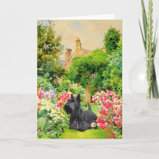 Carte de vœux Terrier Écossais (Devant)
