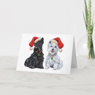 Carte de vœux Terrier Écossais