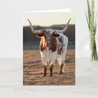 Carte de vœux Texas Longhorn