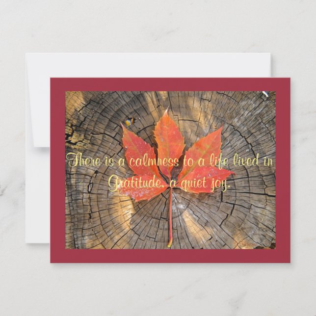 Carte de voeux - thanksgiving - feuille d'automne (Devant)