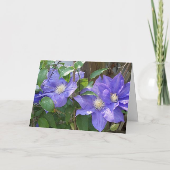 Carte de voeux - ThinkingOfYou (Devant)