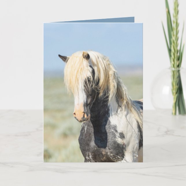 Carte de voeux Thor's Light Portrait Wild Horse (Devant)