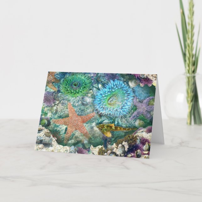Carte de voeux Tidepool Réflexions (Devant)