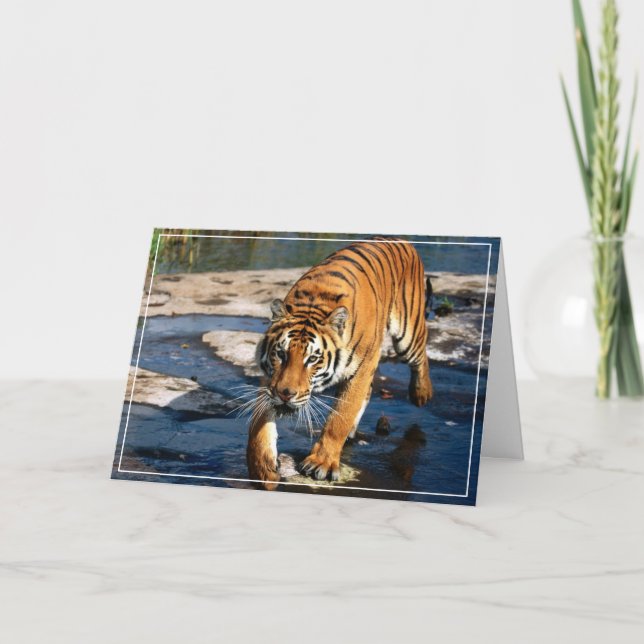 Carte de voeux Tiger (Devant)