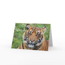 Carte de voeux Tiger Merci