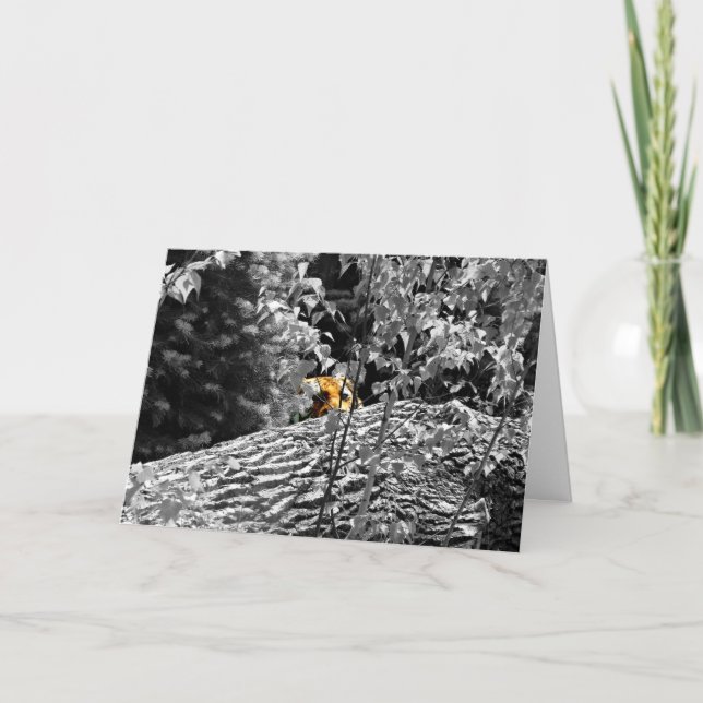 Carte de vœux Tiger Peek-a-boo (Devant)