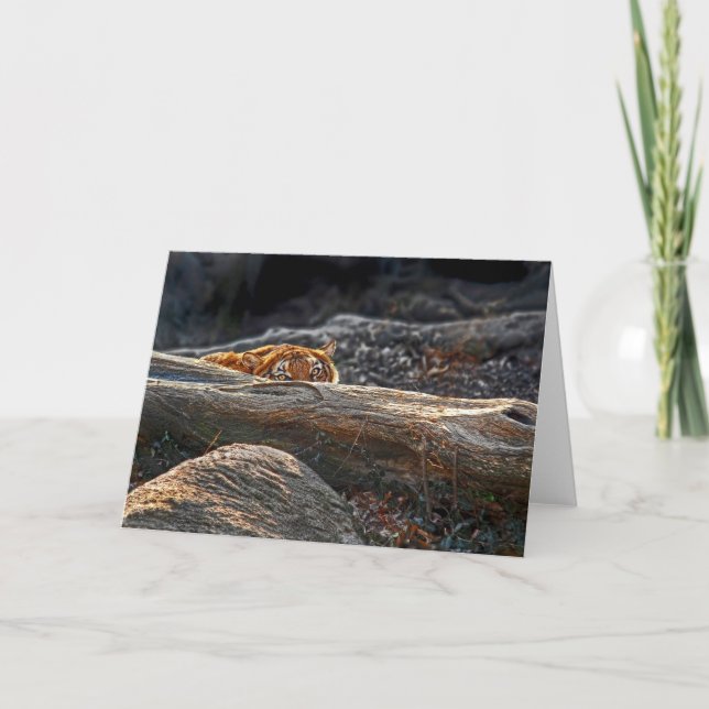 Carte de voeux Tiger Stalk (Devant)