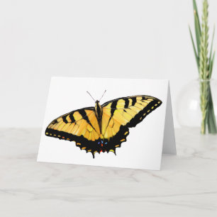 Carte de voeux Tiger Swallowtail