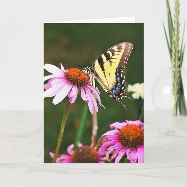 Carte de voeux Tiger Swallowtail sur Coneflower (Devant)