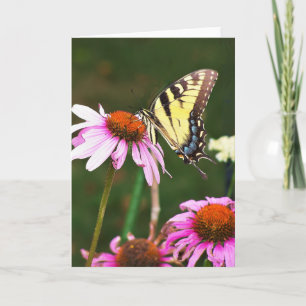 Carte de voeux Tiger Swallowtail sur Coneflower