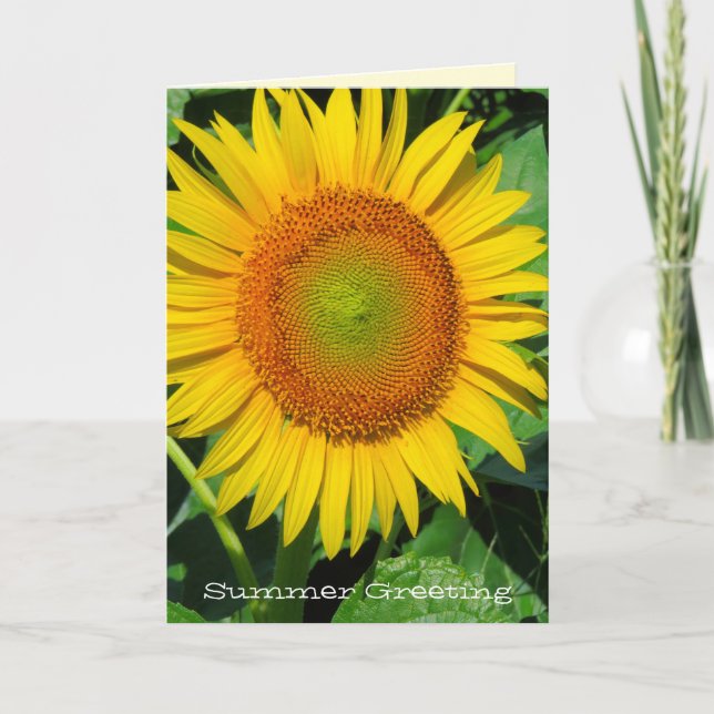 Carte de vœux tournesol (Devant)