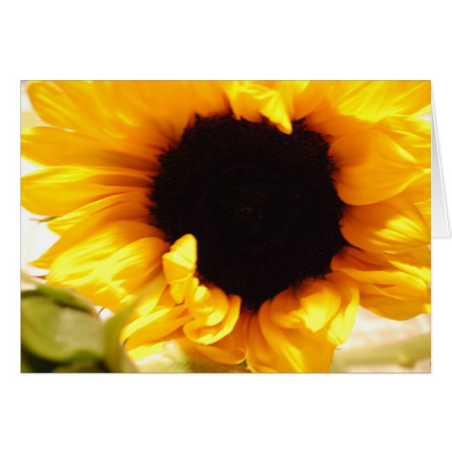 Carte de vœux tournesol jaune (Devant horizontal)