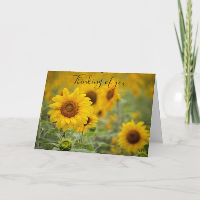 Carte de vœux Tournesol pour vous (Devant)