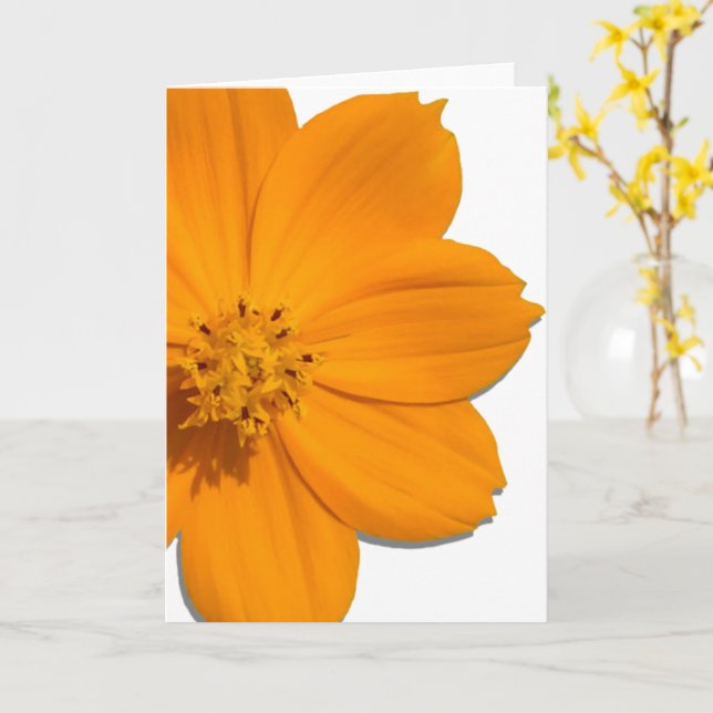Carte de voeux - Toutes les occasions - Orange Cos (Fleur jaune)