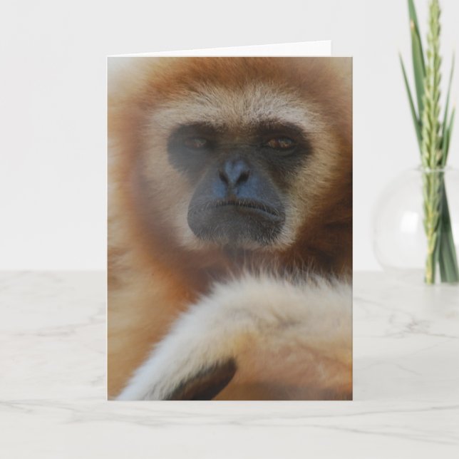 Carte de voeux triste de gibbon (Devant)