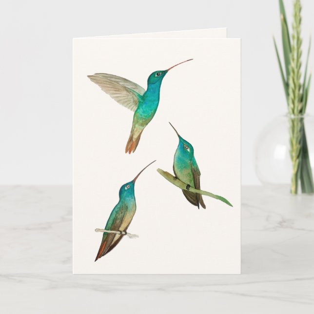 Carte de vœux Trois Oiseaux-Mouches (Devant)