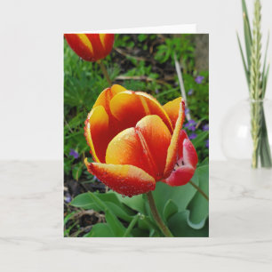 Carte de voeux Tulip
