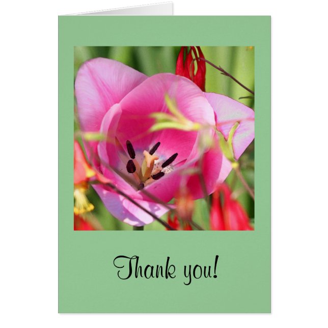 Carte de voeux Tulip (Devant)
